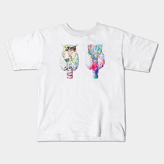 Anatomy of human thyroid gland Kids T-Shirt by erzebeth